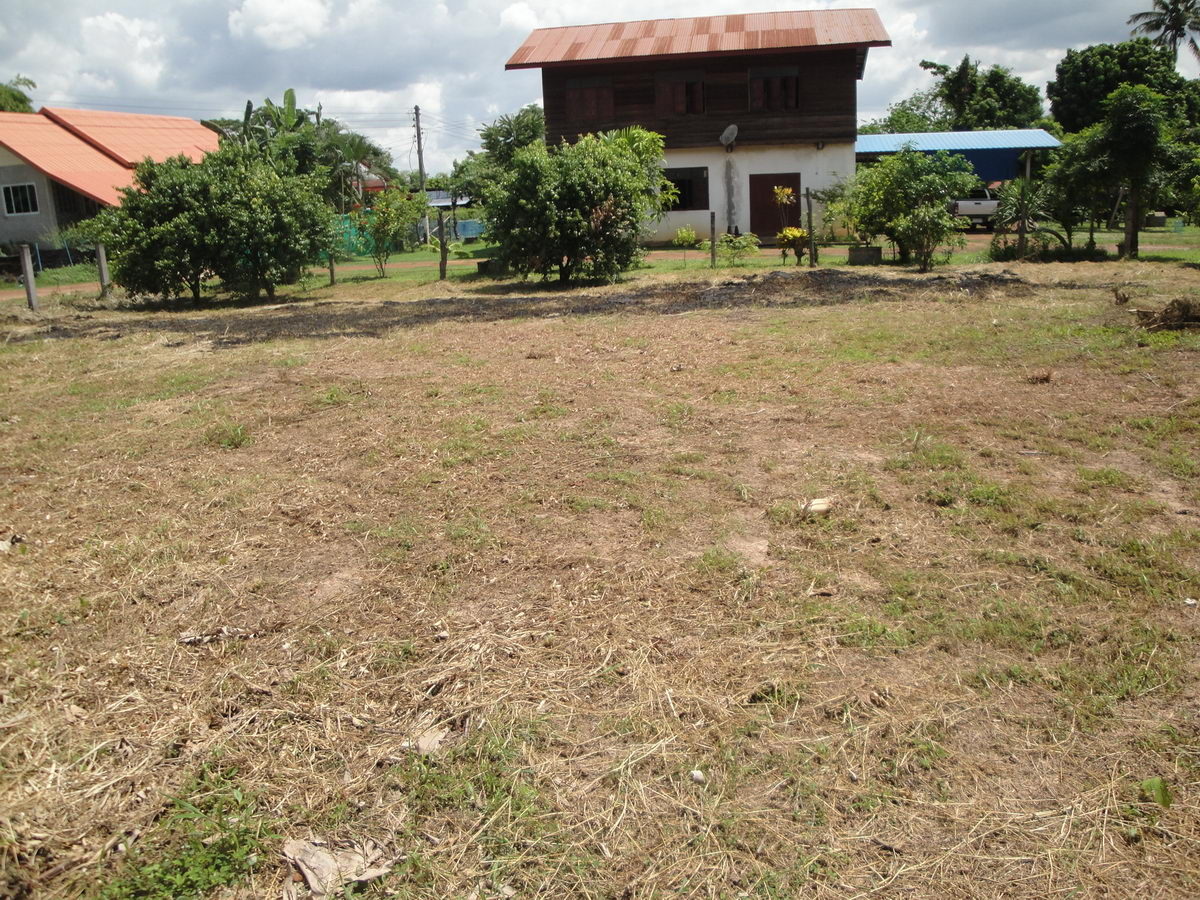 Land For Sale in Hang Hong, Sakon Nakhon, Thailand Thailand Real