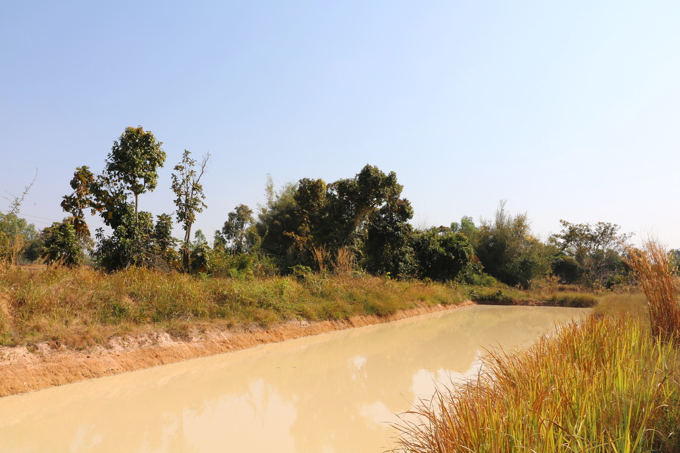 39+ Rai Of Land For Sale, 4 Km’s South Of Sawang Daen Din, Sakon Nakhon