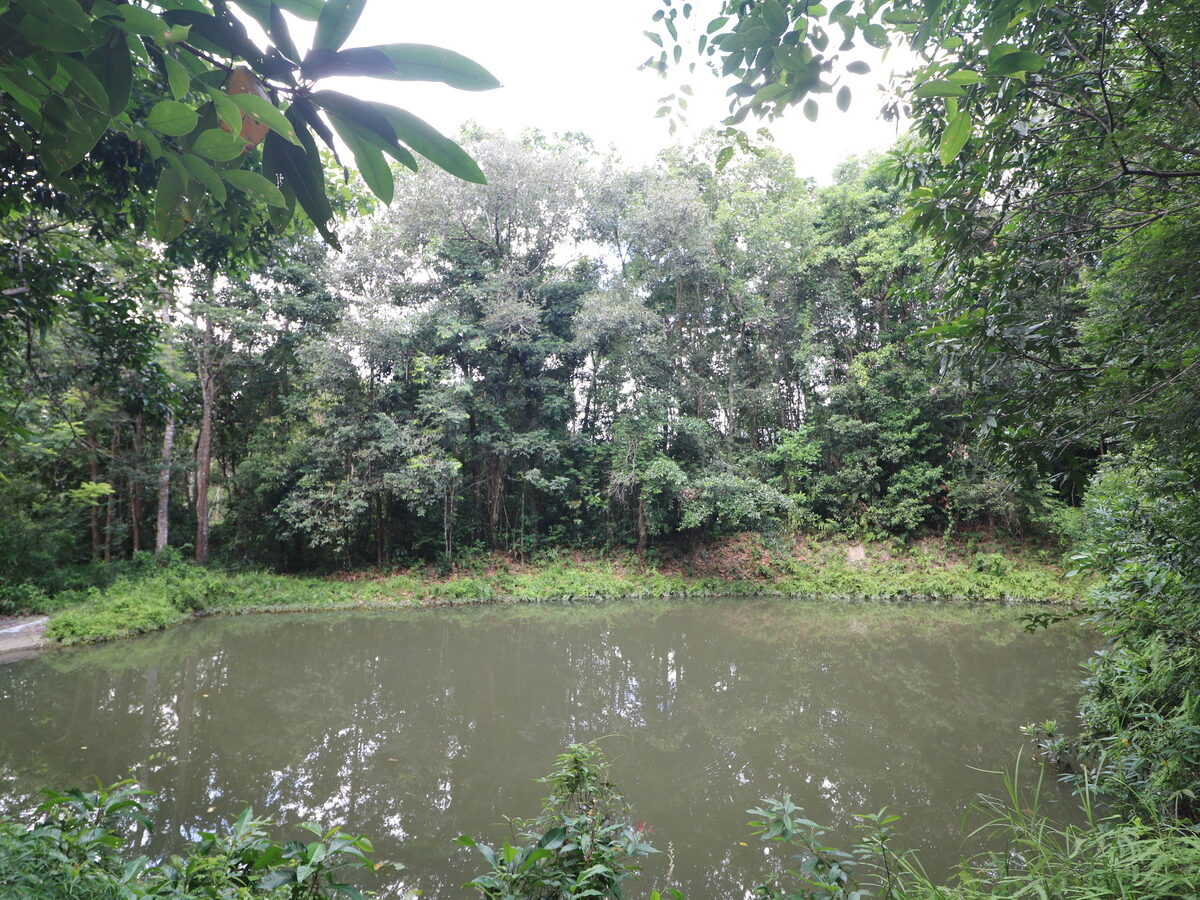 5 freehold Chanotes Thailand Real Estate, Land, Homes, Hotels and